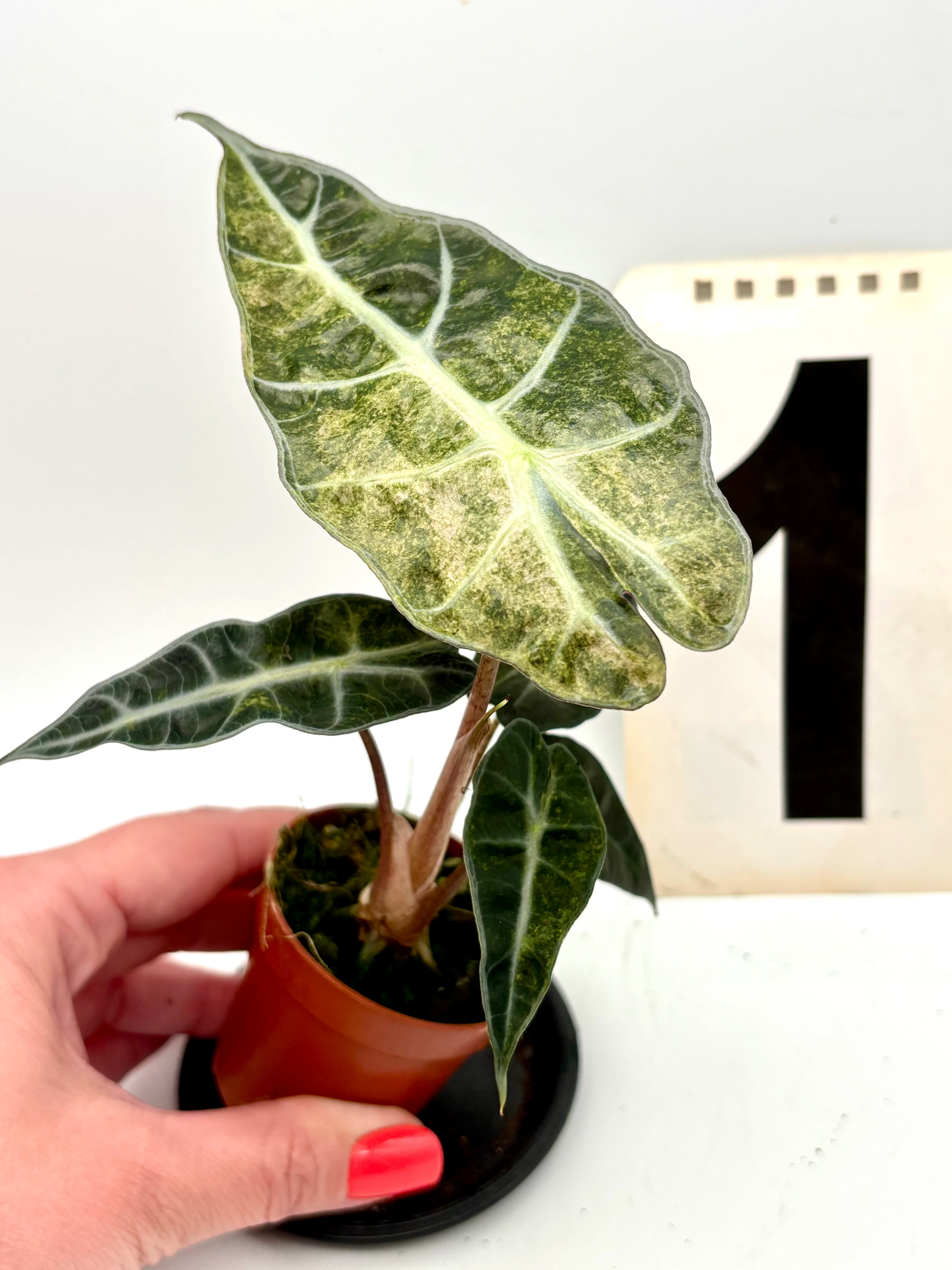Produktbild 1