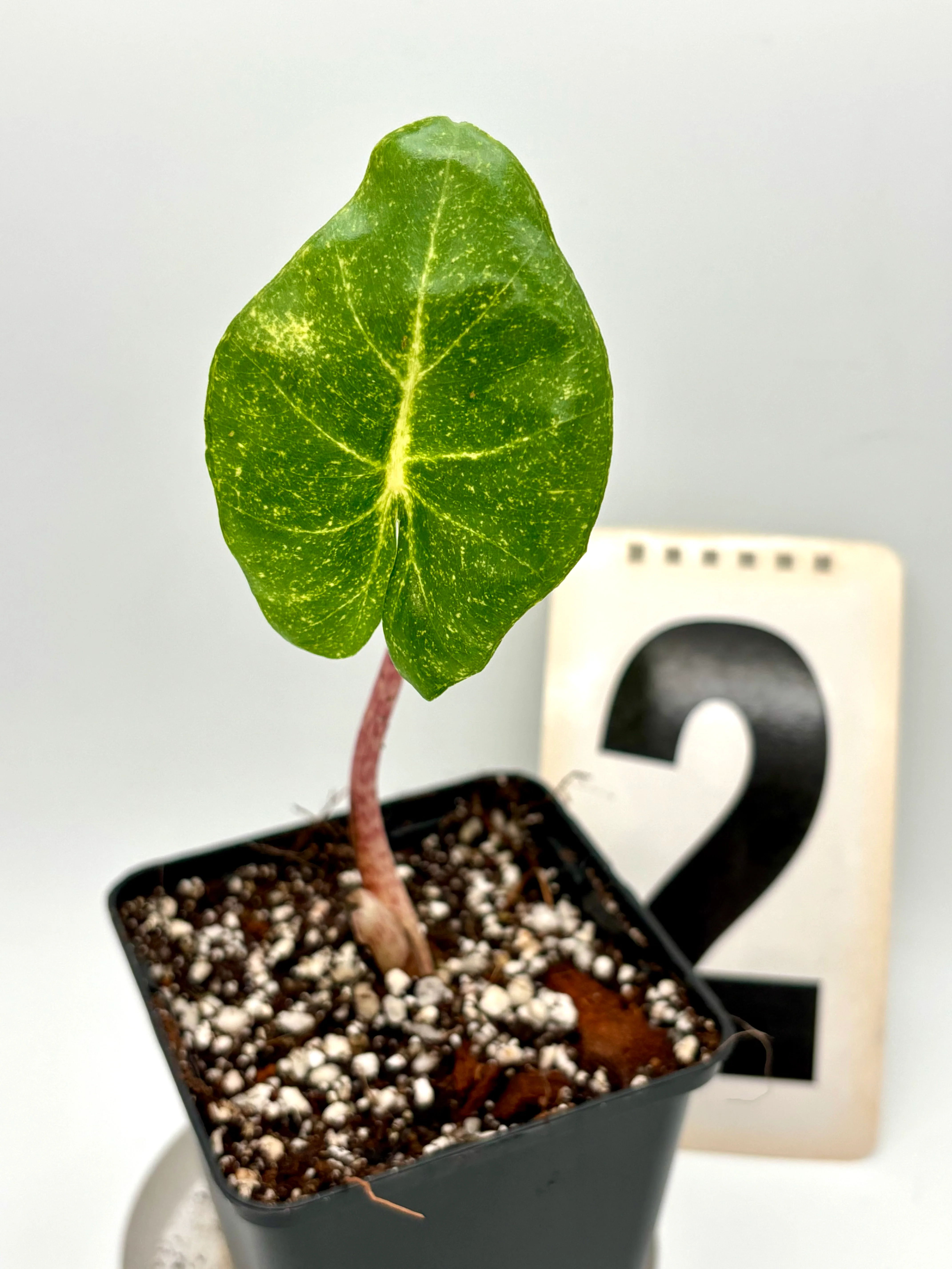 Produktbild 1