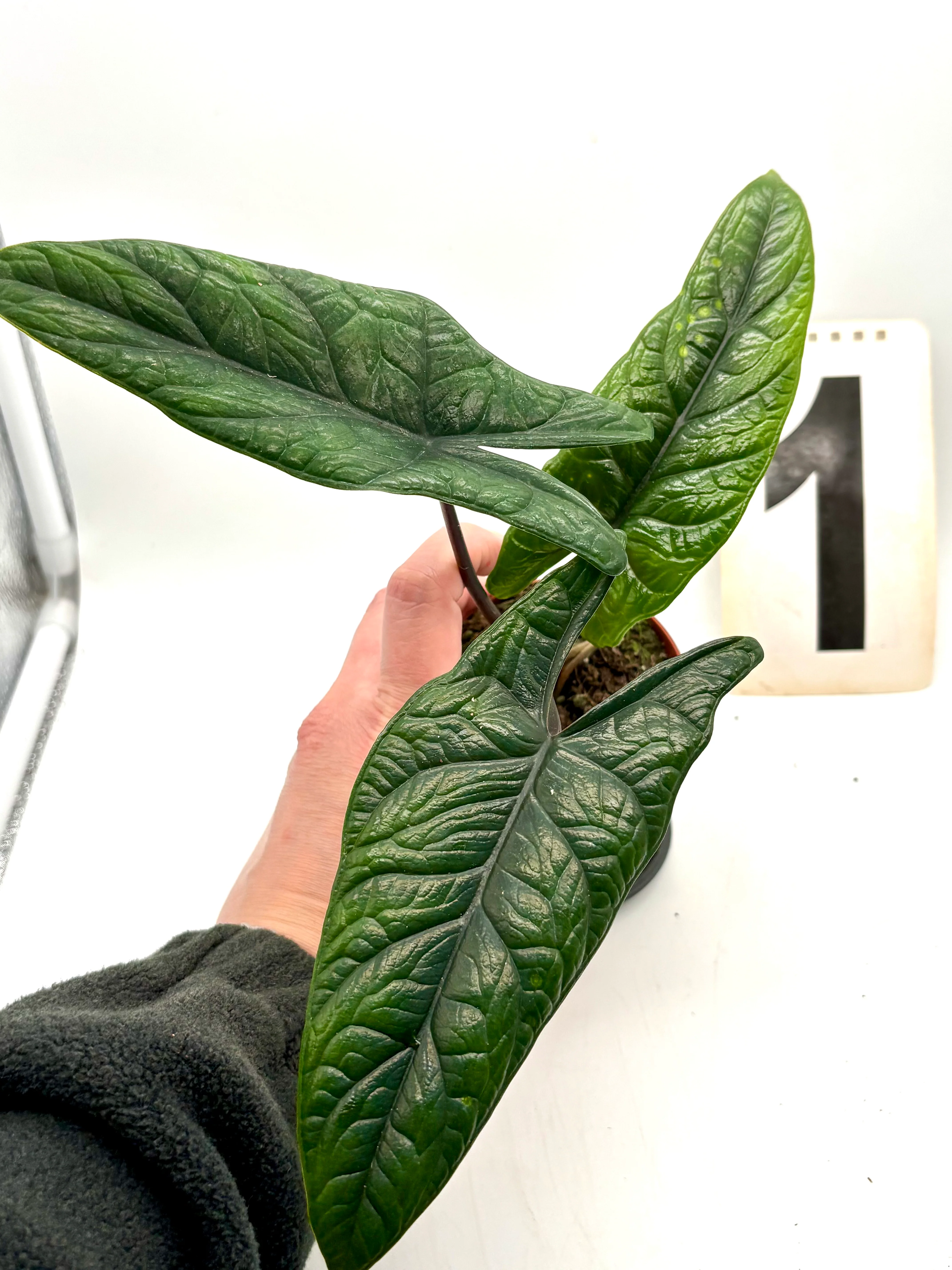 Produktbild 1