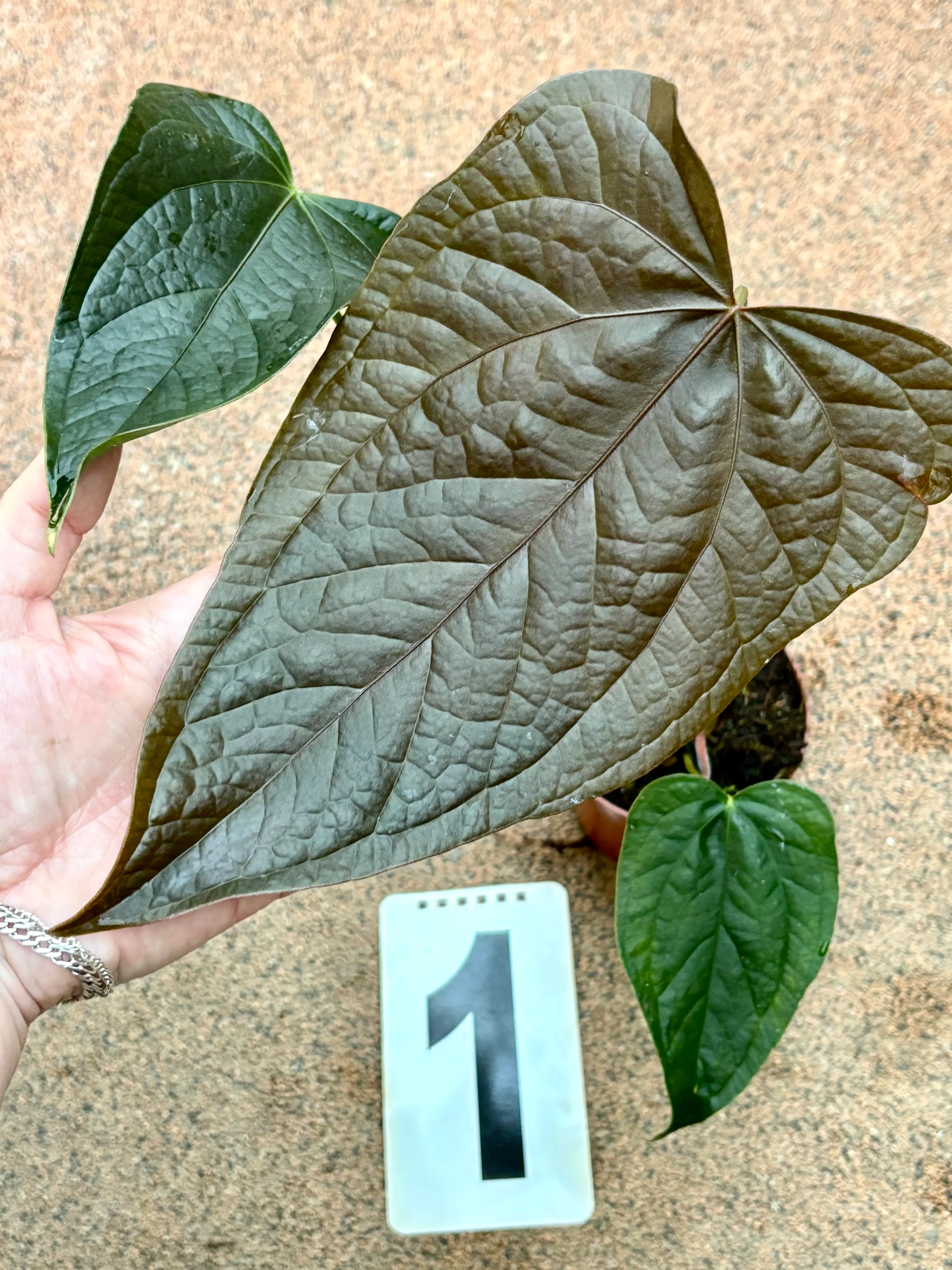 Produktbild 1