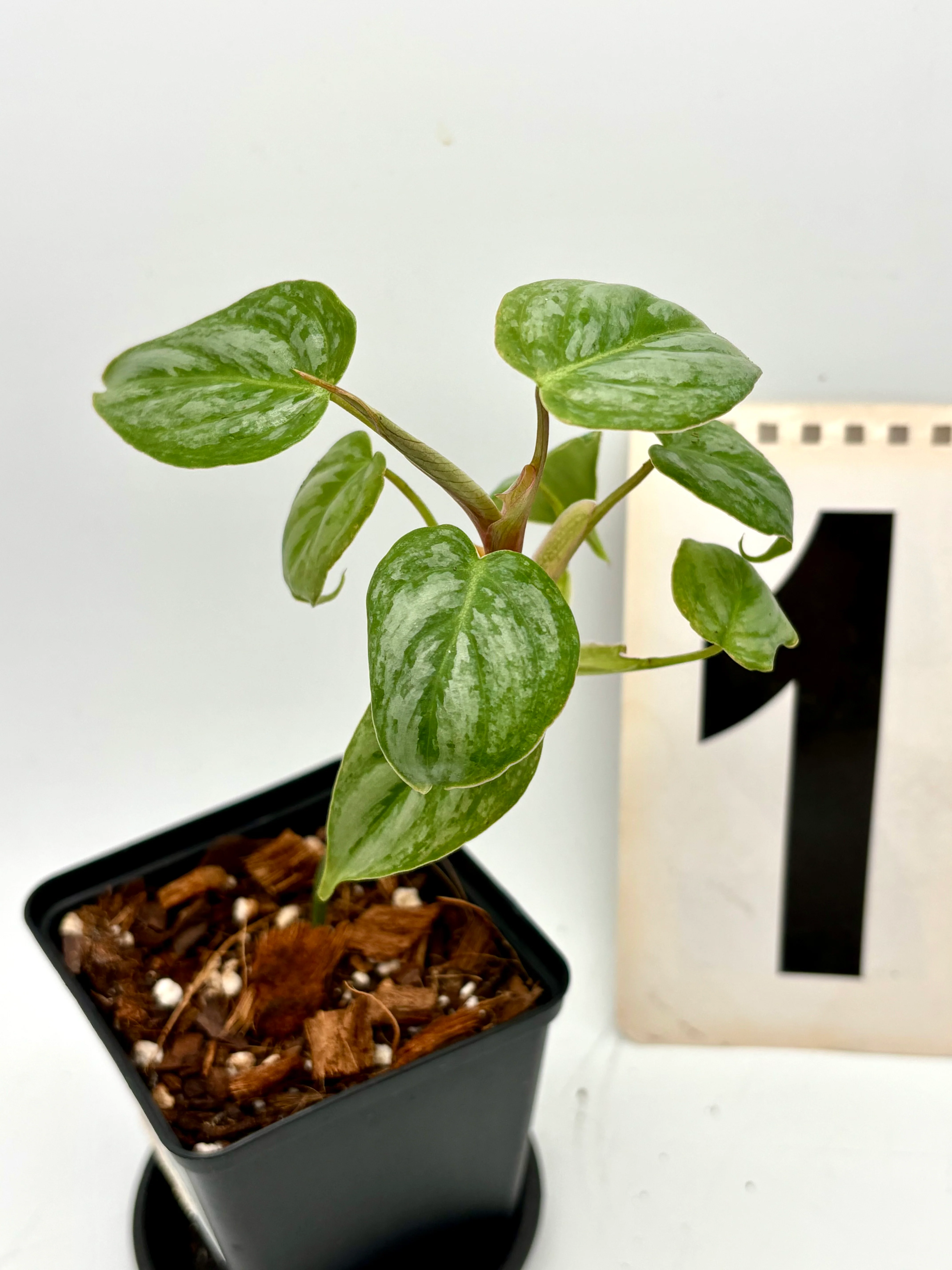 Produktbild 1